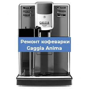 Замена прокладок на кофемашине Gaggia Anima в Перми